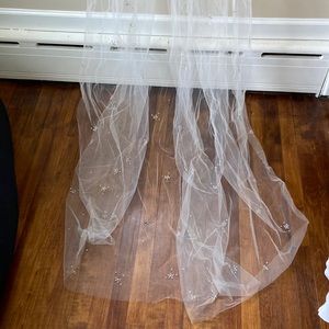 Cathedral length veil